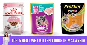 The Best Kitten Food Wet Near Me In 2023
