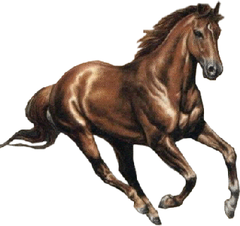 chevaux