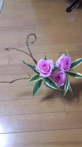 待ち受け画面がピンクの薔薇 写真共有サイト フォト蔵