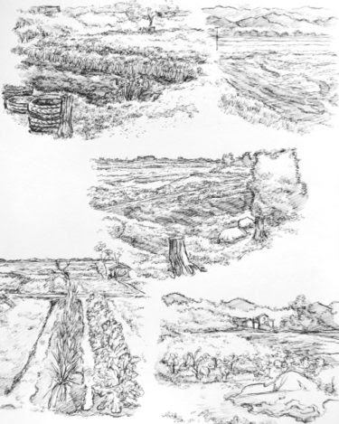 花畑 畑 田んぼのスケッチしてみた ペン画による描き方とは 漫画仏画絵師