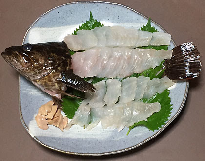 タケノコメバルのお造り 釣りバカ男の手料理