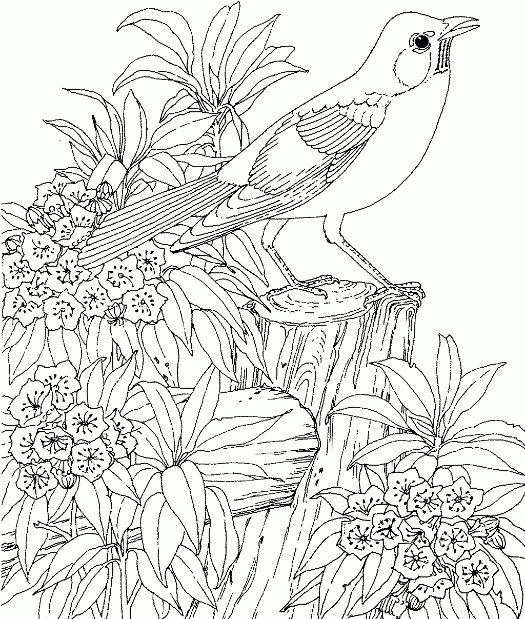 Flower garden coloring pages to download and print for free