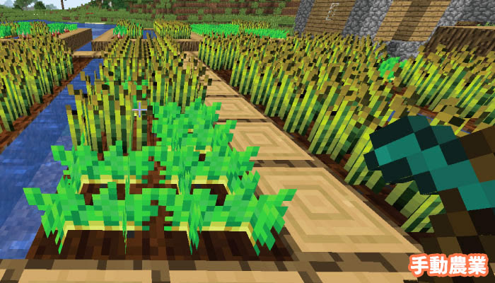 マインクラフト 農業を完全自動化 村人式全自動農場 の作り方 マイクラモール