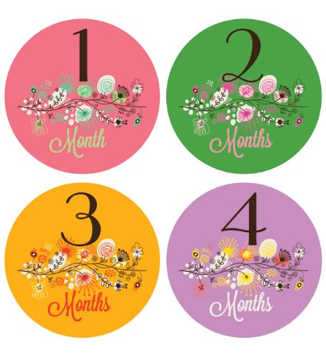 Lucy Darling Shop Baby Monthly Onesie Sticker Baby Girl Branch Month 1 12
