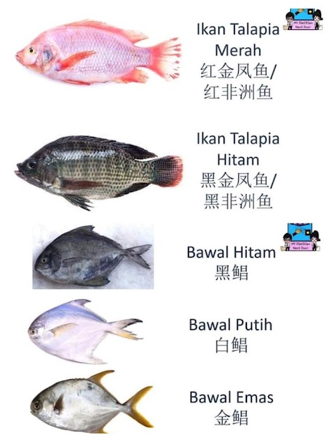bawal hitam vs bawal putih