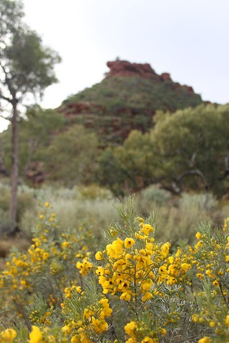 Kings Canyon