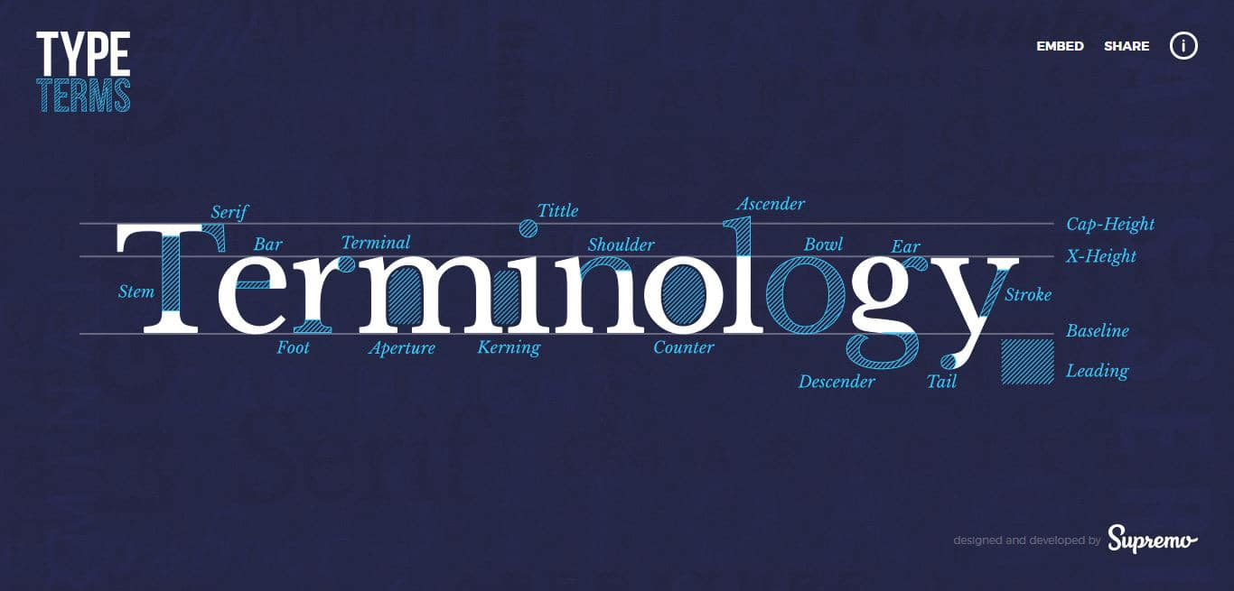 type-terms