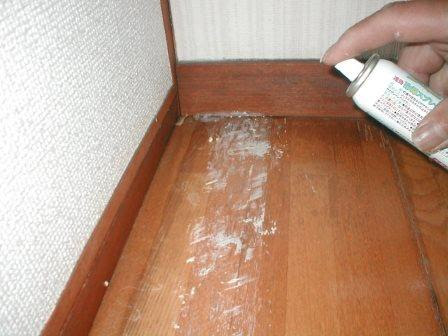 カーペット撤去では両面テープの剥がし方に注意 想いが叶う 集いで多能を活かす