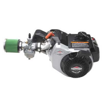 Briggs formula racing engine