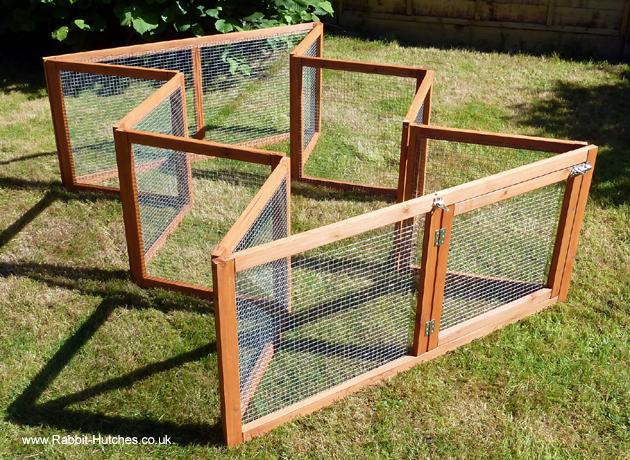 Large Rabbit Run
