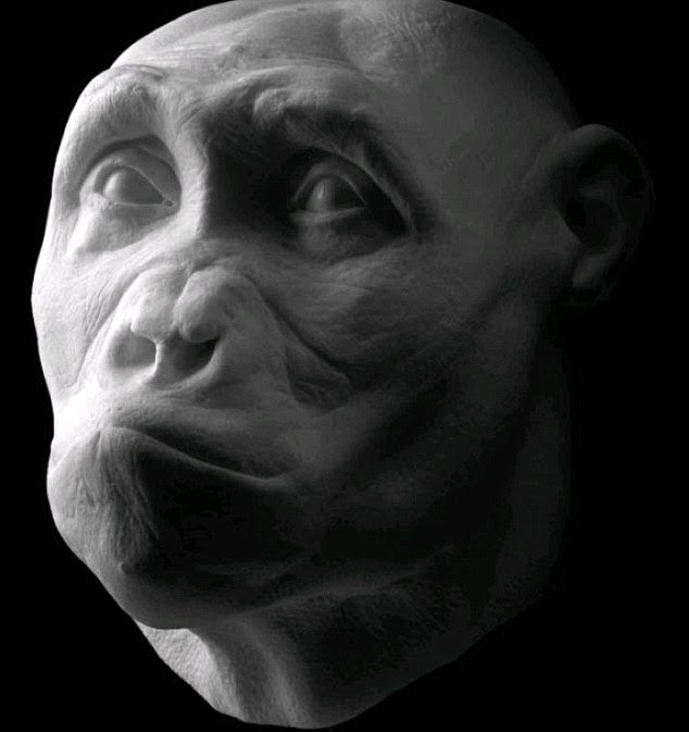 Sahelanthropus tchadensis lived seven million years ago - before the divergence of man and our closest evolutionary cousins, chimpanzees