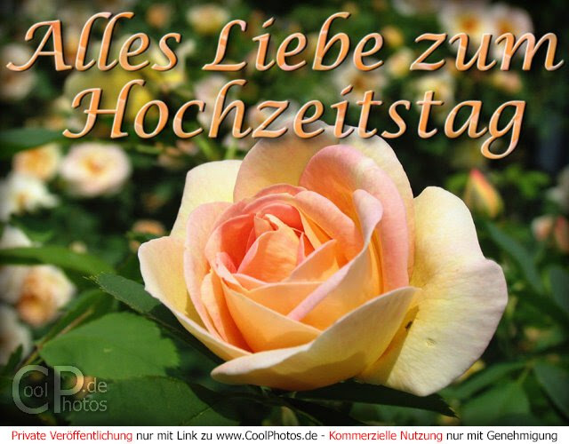 CoolPhotos.de - Grußkarten - Hochzeitstage - zum Hochzeitstag
