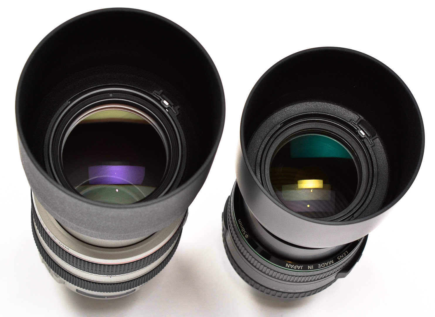 Ron Martinsen S Photography Blog B H Review Canon Ef 70 300mm Do F 4 5 5 6 Do Is Usm Vs Ef 70 300mm F 4 5 6l Is Usm