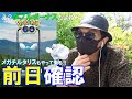 √画像をダウンロード ポケモン go チルタリス 320413-ポケモン go メガ チルタリス 何人