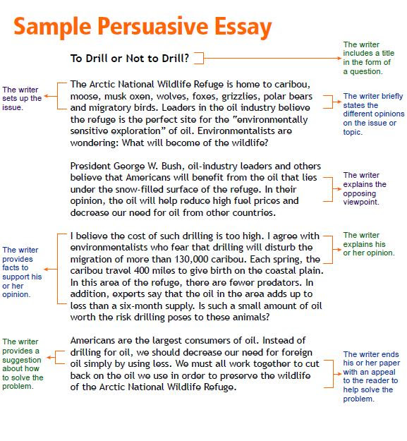 persuasive essay articles