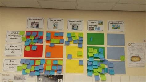 ran chart microorganisms anchor charts teaching