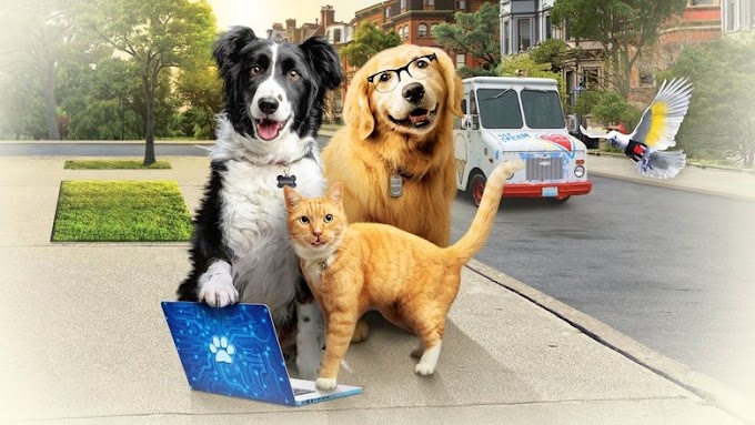 Cani e gatti 3: zampe unite 2020 streaming film senza 4k limiti
completo cb01 big maxcinema 720p
