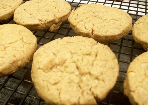 FreshPet_Cookies_312e