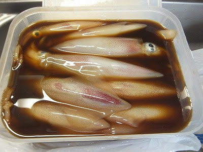第二の定年 持て余し日記 越前海岸沖の剣先イカ釣り