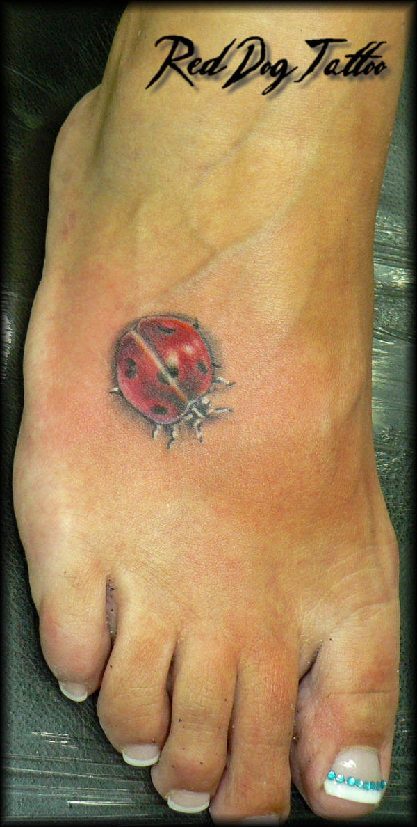 The Excellent Ladybug Tattoo Designs Photograph The Excellent Ladybug Tattoo Designs Photograph