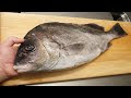 √無料でダウンロード！ ��ィラピア 刺身 寄生虫 210602-ティラピア 刺身 寄生虫