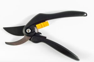 剪定鋏の研ぎ方解説 手入れに必要な道具と長持ちする使い方