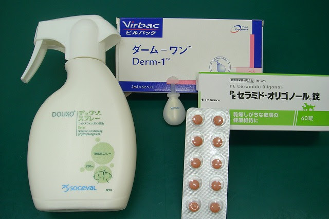 犬のアレルギー性皮膚炎