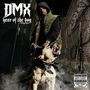 dmx year