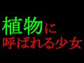 いろいろ 四葉 の クローバー 探偵 198015