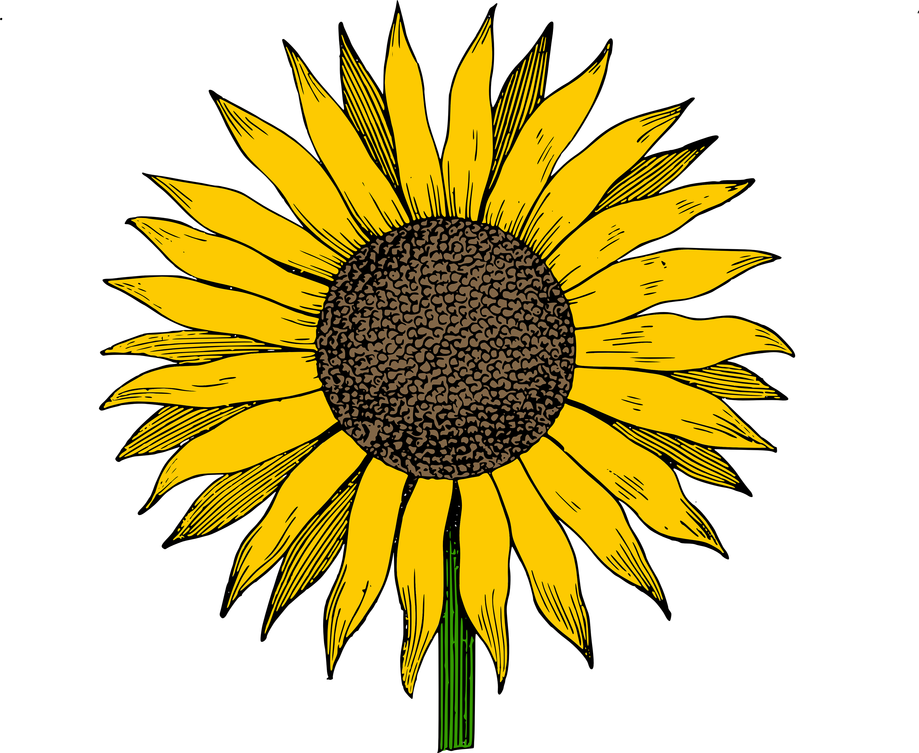 Free Free 202 Clipart Sunflower Png Free SVG PNG EPS DXF File