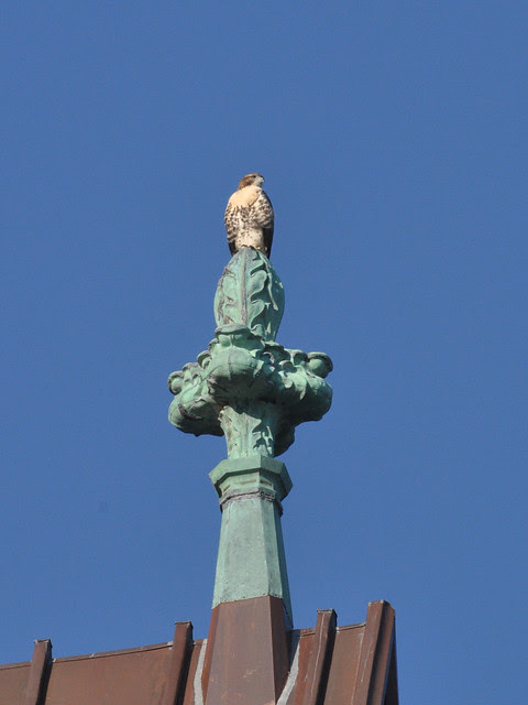 631 DSC_0266