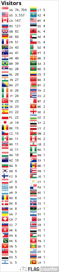 Flag Counter
