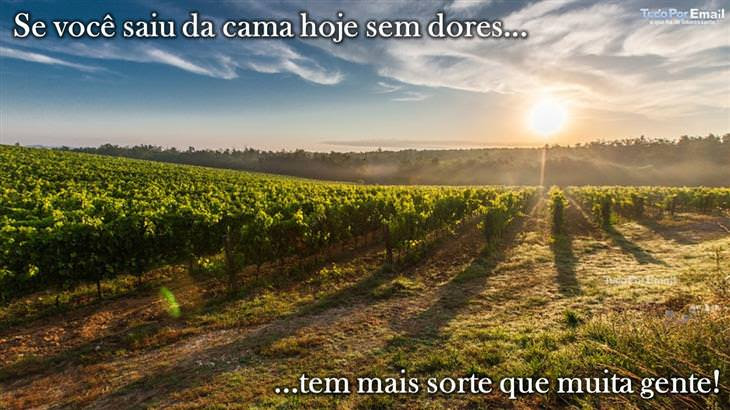 Uma Mensagem Para Dar Valor Às Pequenas Coisas Da Vida...