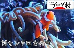 ブログランキング・にほんブログ村へ