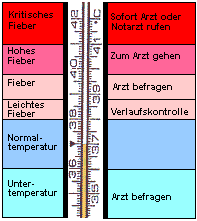 Allgemeine Hinweise Fieber
