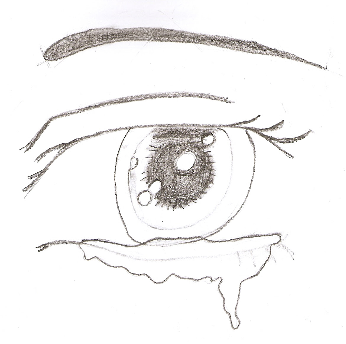 Les Différents Dessins La Plume