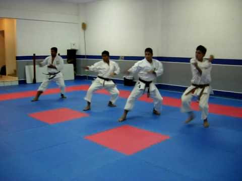 Karate: Practicing Sequences of Techniques Part 2