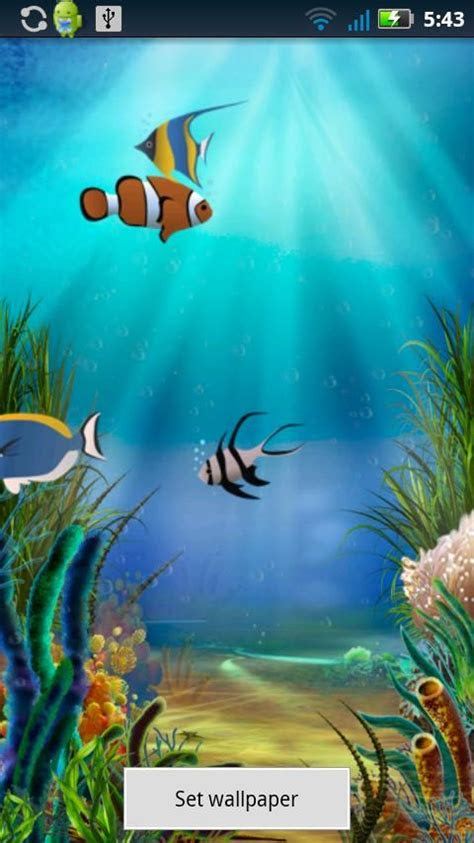 fish pond wallpapers  gallery