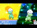 70以上 ポケモン サファイ�� タツベイ 299476