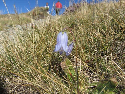 IMG_2110[1]