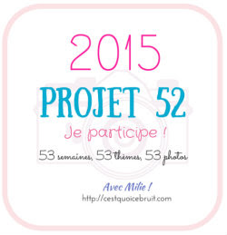 Projet52-2015-logo-cqcb