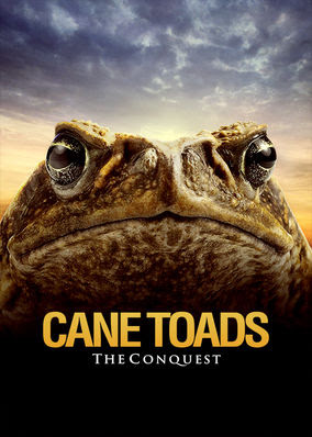 Search the Full Netflix USA Catalog - NewOnNetflixUSA