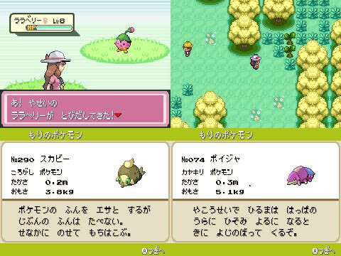 Gba ポケットモンスターデネブプレイ日記その2 ジムバッジ一つ目 編 Traneko12のゲーム生活日記