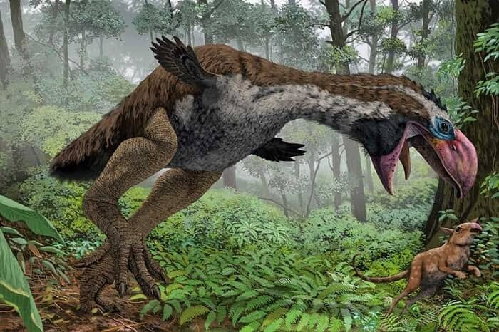 Resultado de imagen de gastornis