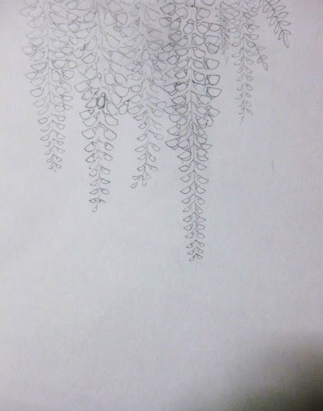 萌の猫の色鉛筆画と趣味の写真 藤の花の下書き