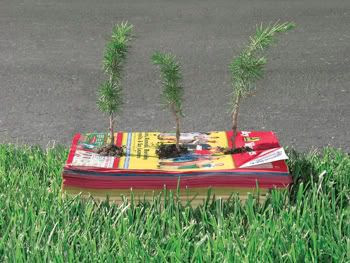 Phone Book Seedbed
