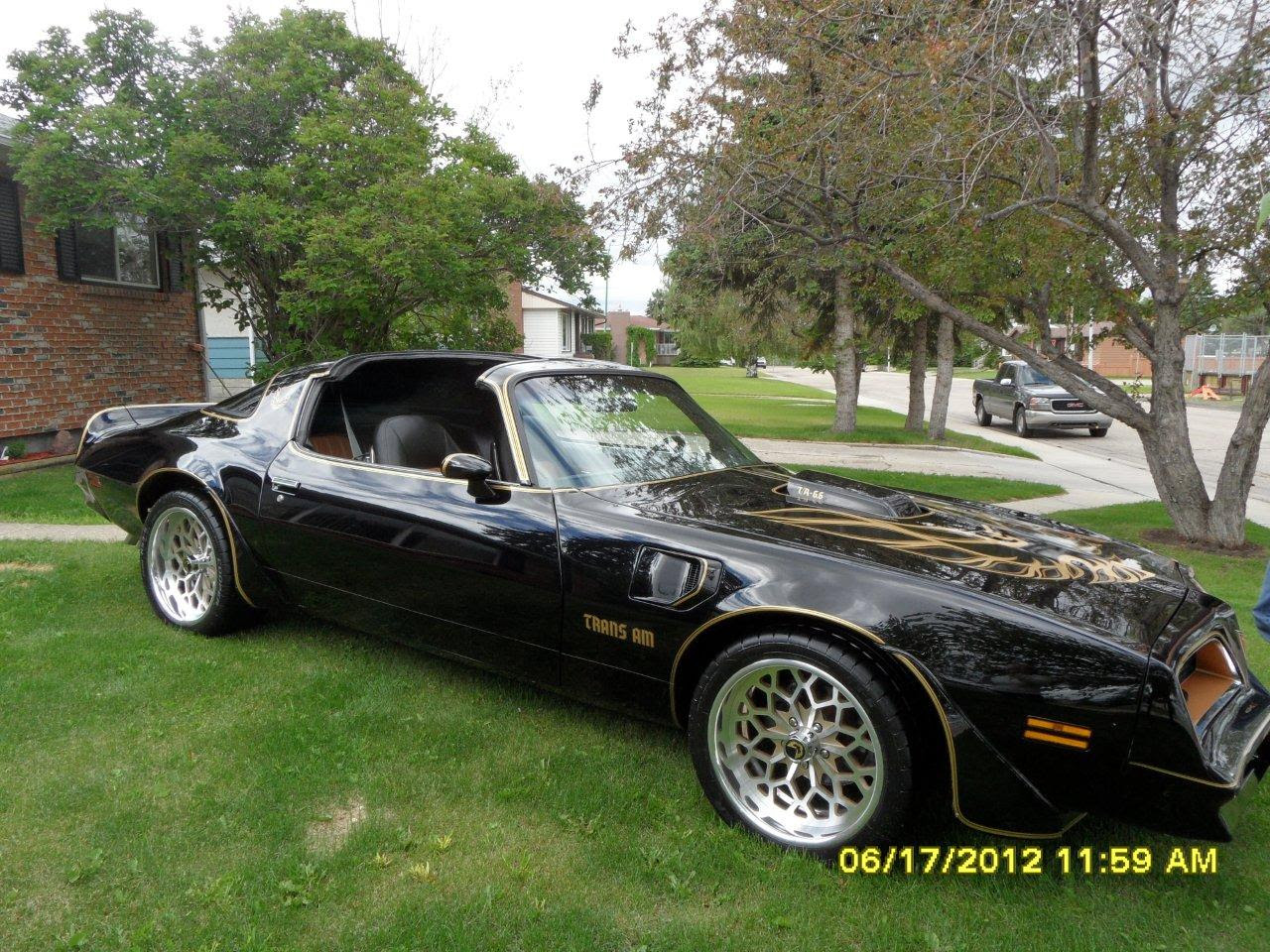 TRANS AM SPECIALTIES OF FLORIDA