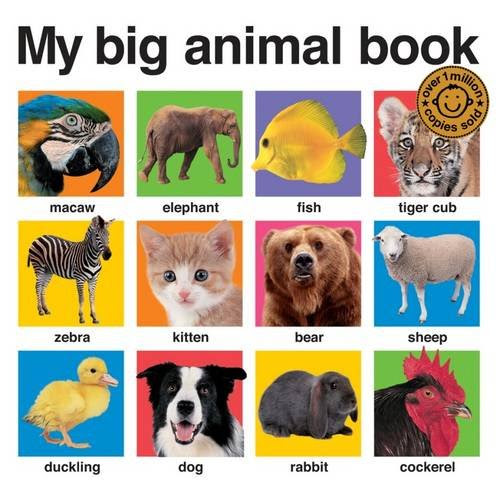 My Big Animal Book.