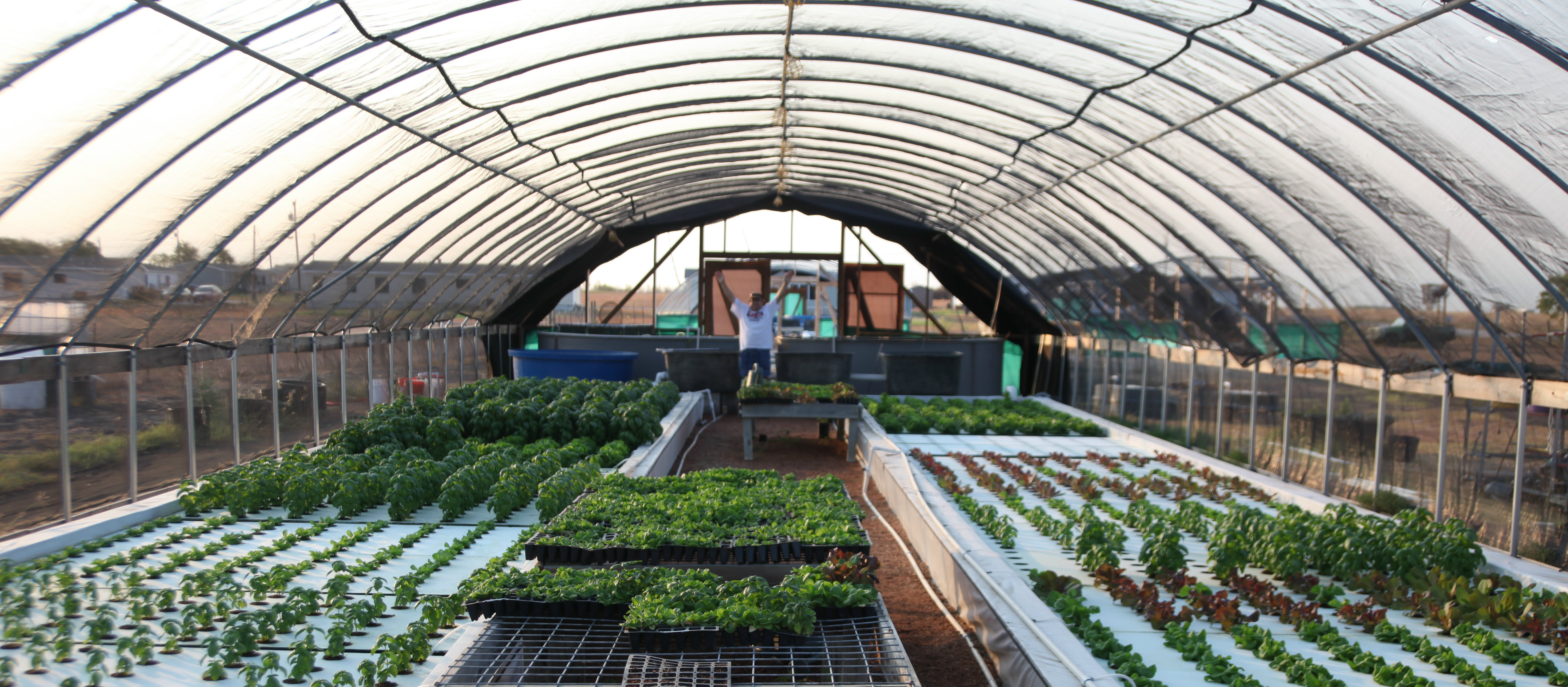 Aquaponics Day – May 9th, 2014 - Global Aquaponics