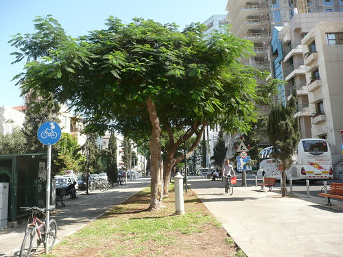 Baron Rothschild Boulevard
